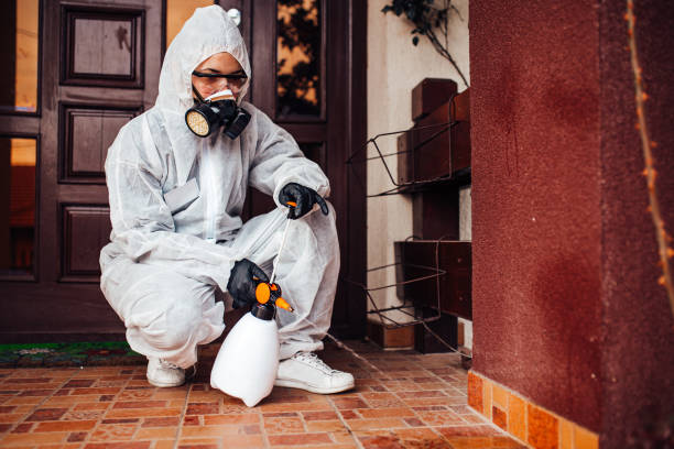 Reliable Wasp Removal contractor in Corydon, IA by Show Me Pest Control